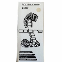 НЕМСКА УЛИЧНА СОЛАРНА ЛАМПА COBRA 250W + ЛЕД ФЕНЕР