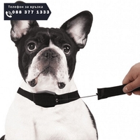 НЕМСКИ Нашийник за куче с вграден повод, Lucky Leash, 105 см. дълъг и има магнит + ЛЕД ФЕНЕР