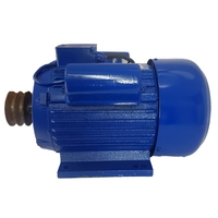 НЕМСКИ Руски Монофазен Електромотор 4кВ 3000об. ДРУЖБА Двигател + ЛЕД ФЕНЕР