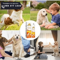 НЕМСКИ Успокояващ спрей за възстановяване на стави, Натурален спрей, За сила и гъвкавост, Облекчаване на дискомфорта при домашни любимци + ЛЕД ФЕНЕР