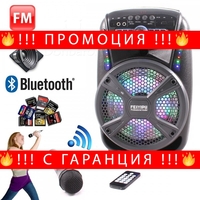 НЕМСКО Активна Bluetooth караоке тонколона с LED светлини, безжичен микрофон и дистанцонно, 8