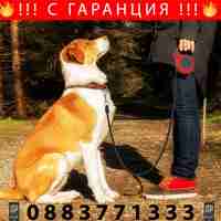 НЕМСКА Aвтоматична прибираща се каишка за кучета 5 метра, Снабдена със спирачка, Червена + ЛЕД ФЕНЕР