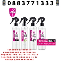 НЕМСКИ Парфюм за кола Аерозол 250 ml F128, 4 аромата + ЛЕД ФЕНЕР