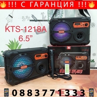 НЕМСКО Активна Bluetooth Караоке Колона с микрофон  6.5