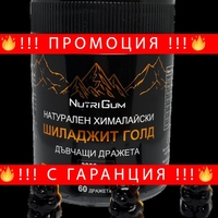 НЕМСКИ Хималайски Шиладжит с Ашваганда, дъвчащи МЕЧЕТА 3000mg 60бр. Shilajit Gold + ЛЕД ФЕНЕР