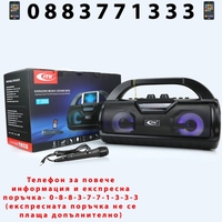 НЕМСКО КАРАОКЕ КОЛОНА С МИКРОФОН ITK T-356 + ЛЕД ФЕНЕР