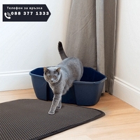 НЕМСКА Постелка за котешка тоалетна, TriedThings, Сив, 50 x 40 cm + ЛЕД ФЕНЕР
