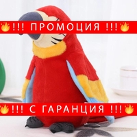 НЕМСКИ Пеещ Повтарящ Папагал Арчи + ЛЕД ФЕНЕР