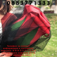 НЕМСКА Гигантска декоративна роза, Червена + ЛЕД ФЕНЕР