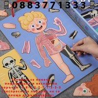 НЕМСКО Магнитен човек 