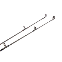 Golden Catch Rod Passion Power 2.70m 40-125g