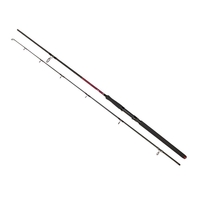 Golden Catch Rod Passion Power 3.00m 40-125g