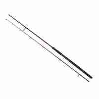 Golden Catch Rod Passion Power 2.40m 100-180g