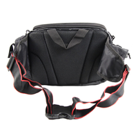 Golden Catch Hip Bag