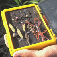 Golden Catch Reversible Worm Case RWC-1410F
