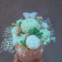 Ароматни восъчни цветя в подаръчна кутия