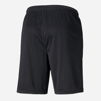 PUMA Individualrise Shorts