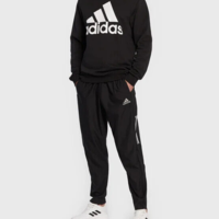 ADIDAS M BL FL SWT