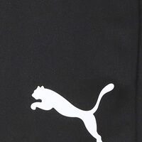 PUMA FTBIPLAY SHORTS