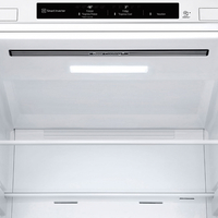 Хладилник с фризер LG GBV21L0ESW