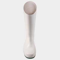 Защитни ботуши DUNLOP WORK-IT S4 SR FO LG WHITE