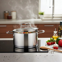 Тенджера Oliver Voltz, Berlin Premium Collection 18см