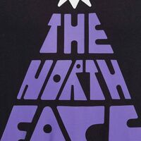 The North Face Graphic T-Shirt – Black / Purple