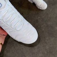 Air Max Plus TN  'Ashen Slate”