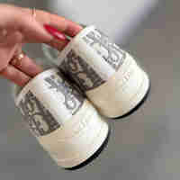 Dior Canvas Women “Premium
