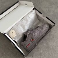 Supreme x Nike SB Dunk Low “Grey”