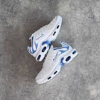 Air Max Plus TN  'Ashen Slate”