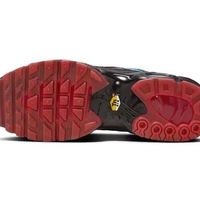 Nike Air Max Plus TN 