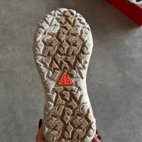 Nike ACG Mountain Fly 2 Low GORE-TEX “Grey”