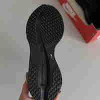 Nike Pegasus Premium Black