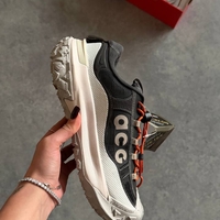 Nike ACG Mountain Fly 2 Low GORE-TEX “Grey”