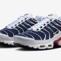 NIKE AIR MAX PLUS TN 'PSG'