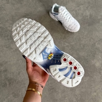 Air Max Plus TN  'Ashen Slate”