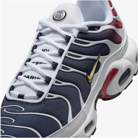 NIKE AIR MAX PLUS TN 'PSG'