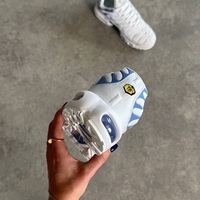 Air Max Plus TN  'Ashen Slate”