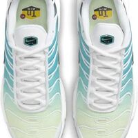 Nike Air Max Plus TN “Dusty Cactus Barely Volt”