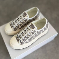 Dior Canvas Women “Premium