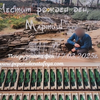 Шоколадови бонбони Мерси с спортна кола и снимка