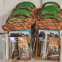 Книжка за оцветяване  МАЙНКРАФТ  + цветни моливи + сапунени мехури