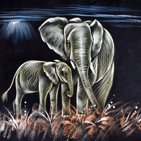 Hand Painted on black canvas 