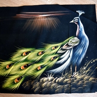 Hand Painted on black canvas 