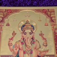 Golden Foil pictures 