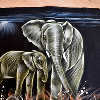 Hand Painted on black canvas 