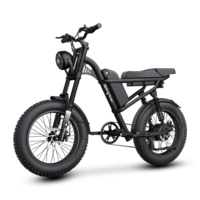 Електрически велосипед Riding Times Z8S