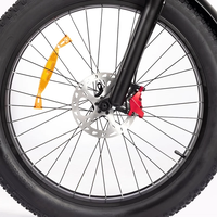 Електрически велосипед Ridstar H26 Pro