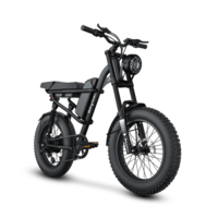 Електрически велосипед Riding Times Z8S